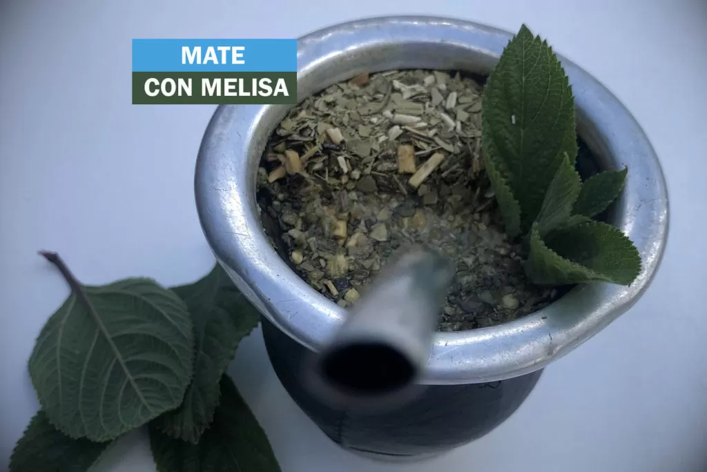 MATE CON MELISA