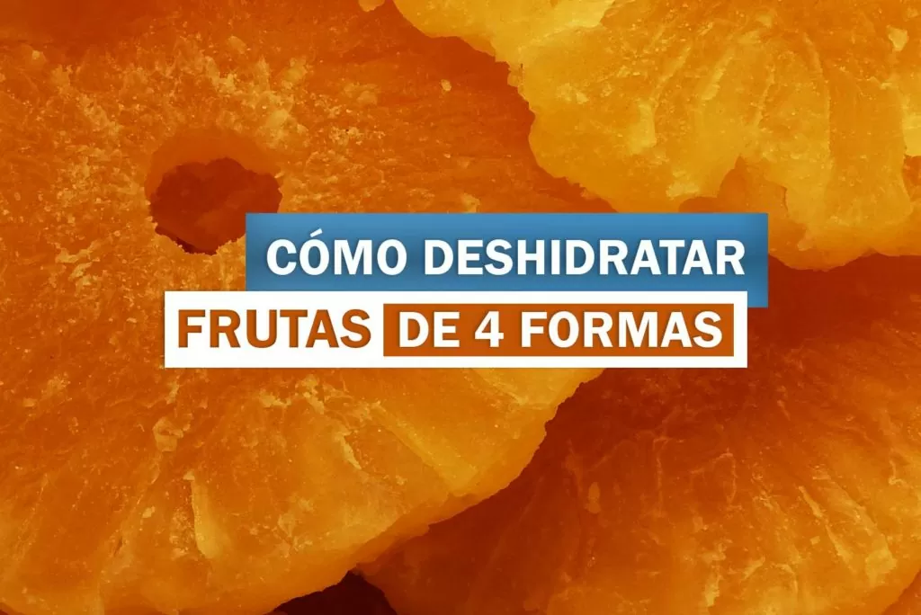 CÓMO DESHIDRATAR FRUTAS1