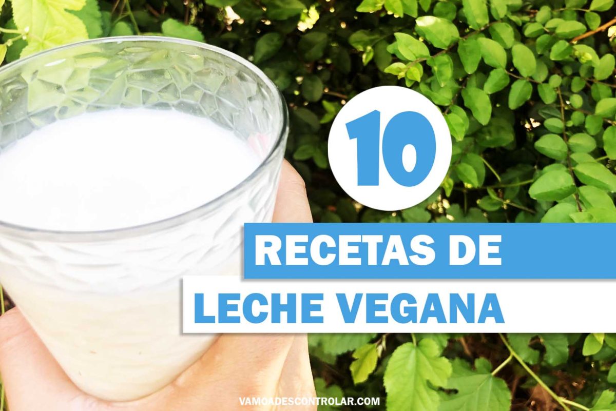 Recetas De Leche Vegana Para Hacer En Casa